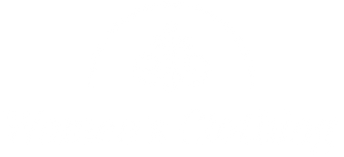 Vela Valour Women's Clothing